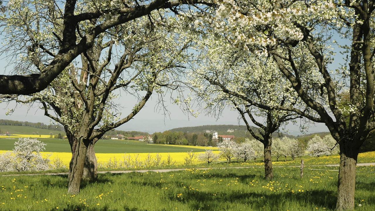 Klosterhotel Kreuz Mariastein Экстерьер фото